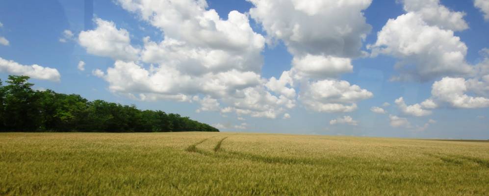 
            Фотография Новострепетного