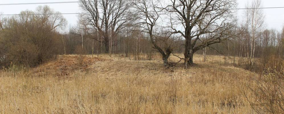 
            Фотография деревни Поршни