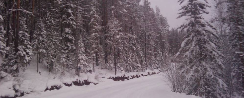 
            Фотография Чечуйска