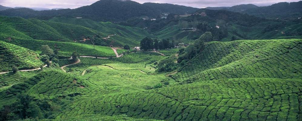 
            Фотография Танах Рата