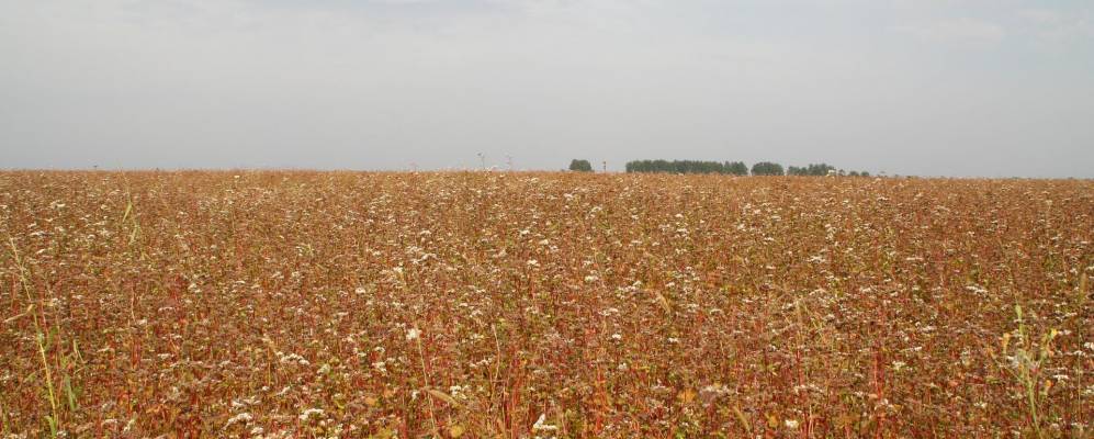 
            Фотография Хотимль-Кузменково