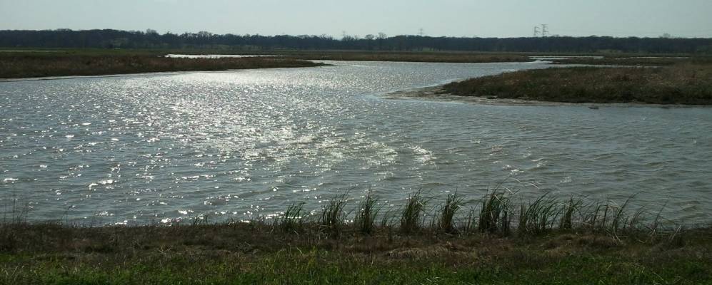 
            Фотография Сиговилла