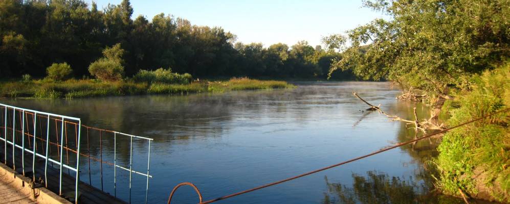 
            Фотография Сокольников
