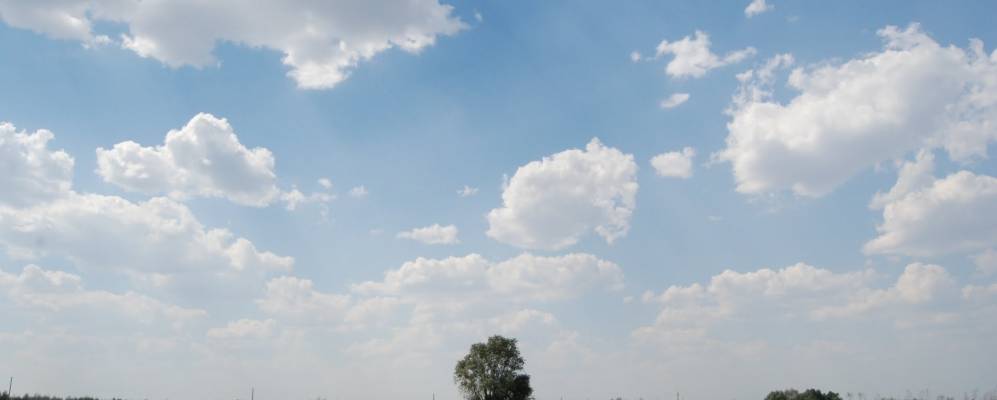 
            Фотография Новых Пичур