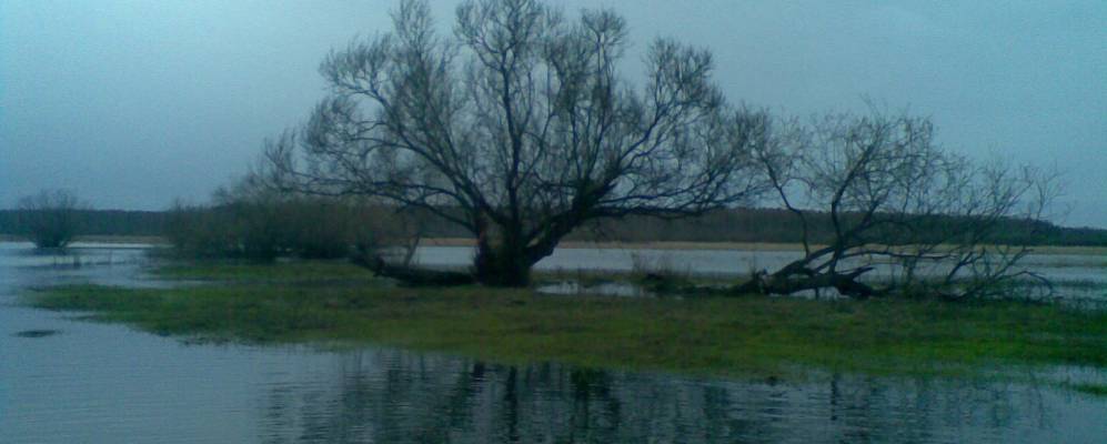 
            Фотография Антропово