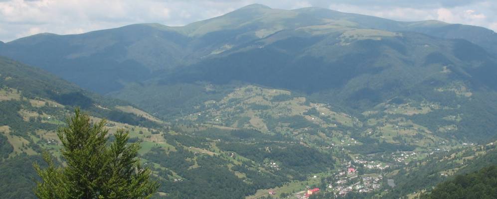 
            Фотография Ситного