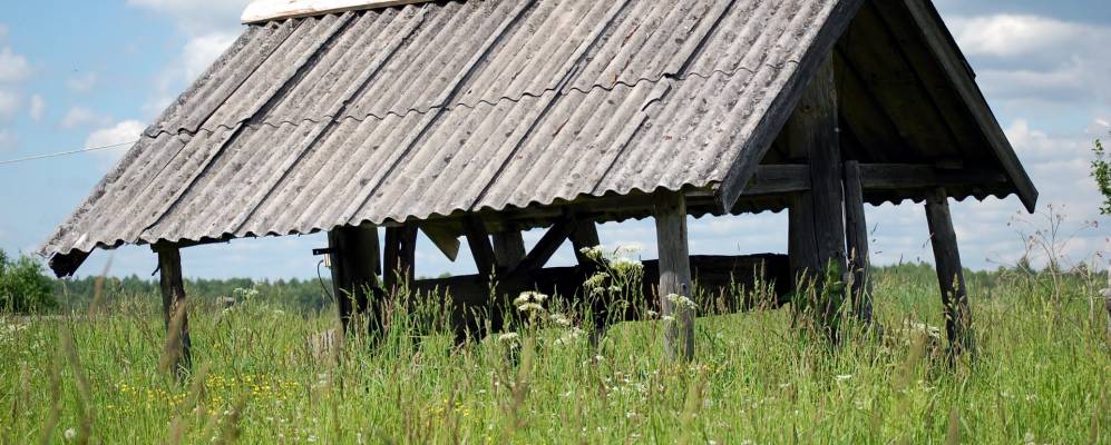 
            Фотография Волосовской