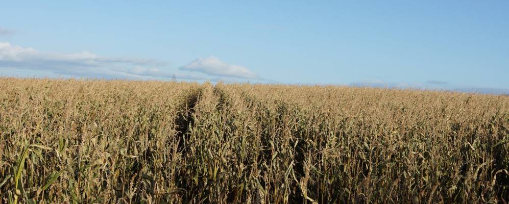 
            Фотография Долтон-ин-Фернесс