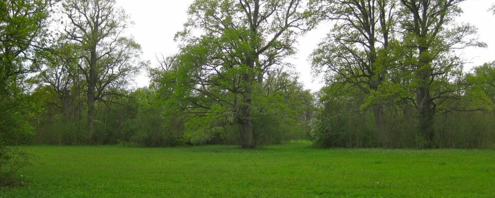 
            Фотография Велюня