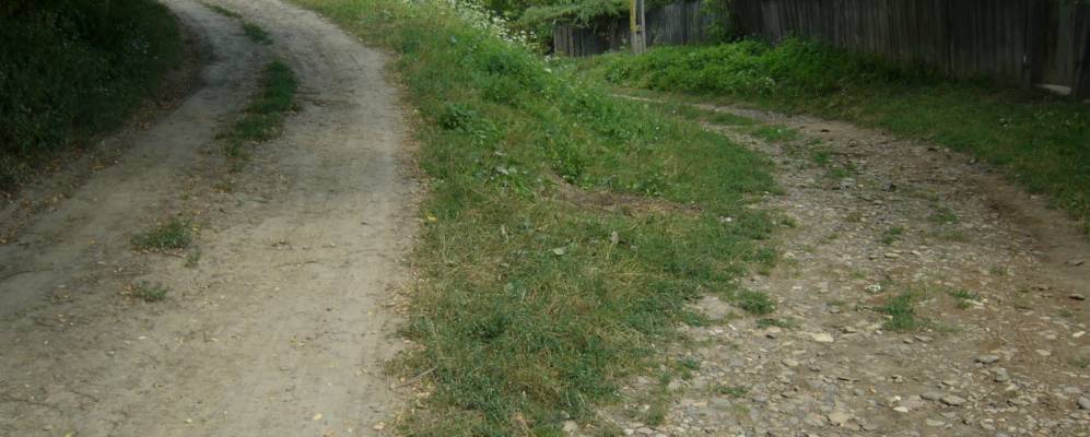 
            Фотография Заичешти