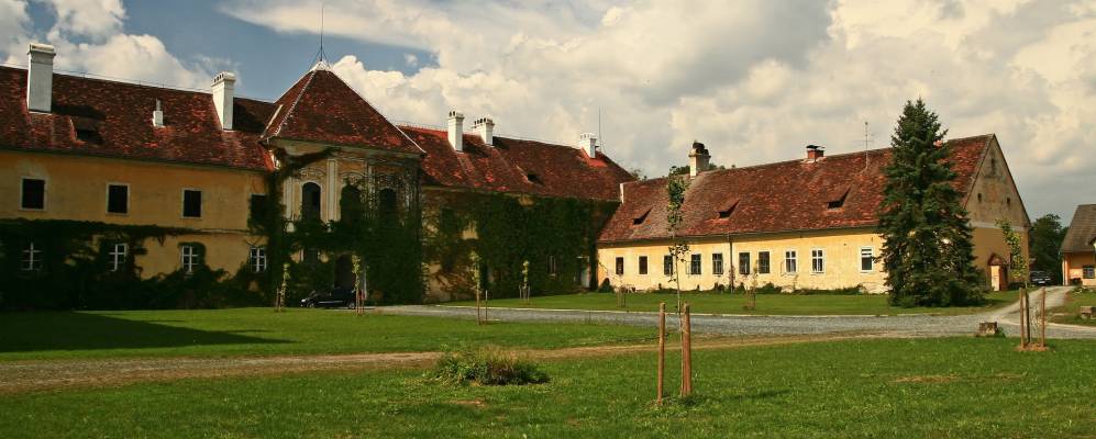 
            Фотография Кофидиша 