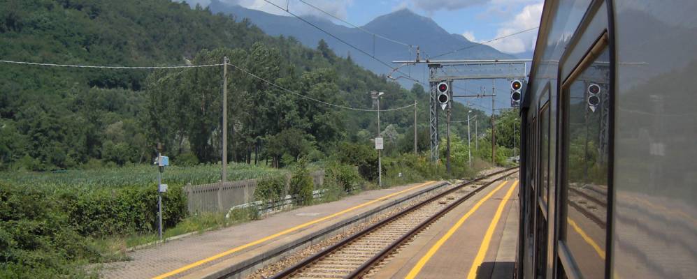 
            Фотография Пьянтедо