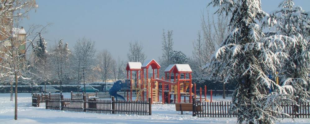 
            Фотография Буззеро