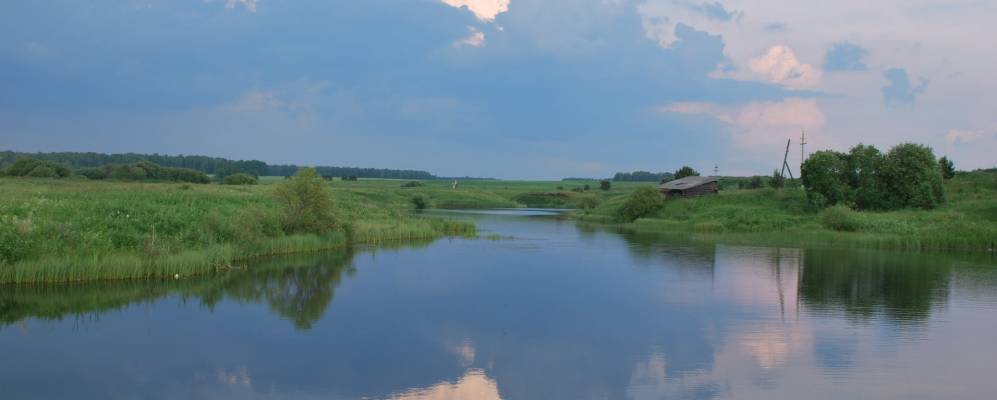 Фотография Дружинины