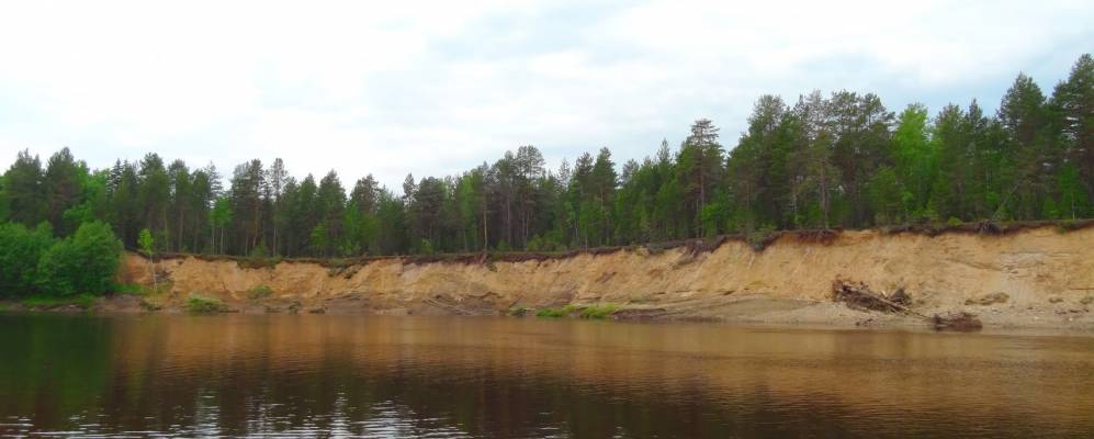 
            Фотография Грибошинo