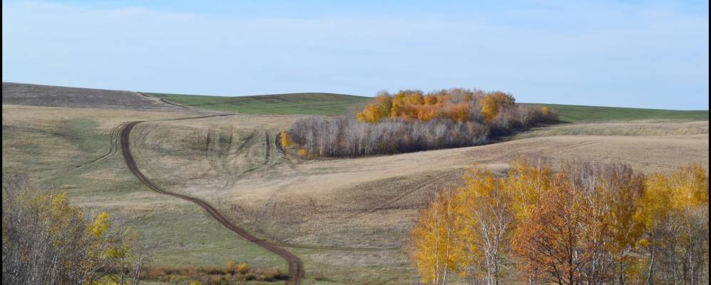 
            Фотография Учкаина