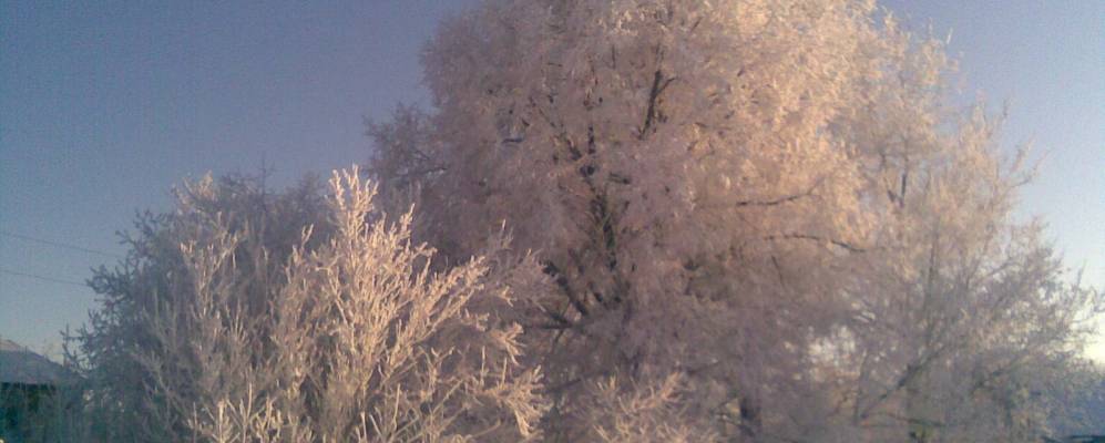 
            Фотография Петровского