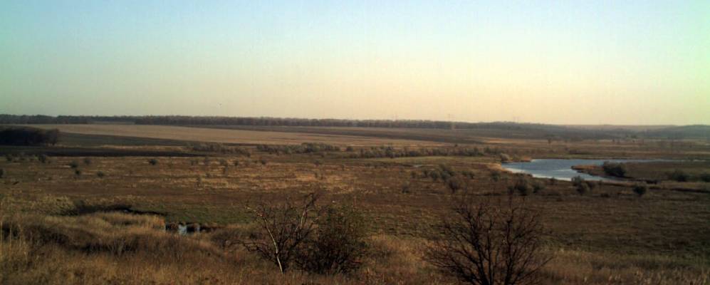 
            Фотография Новотерноватки