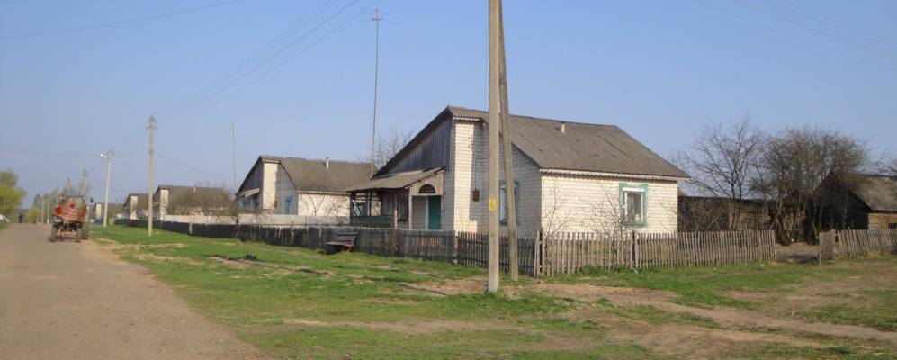 
            Фотография Звонца