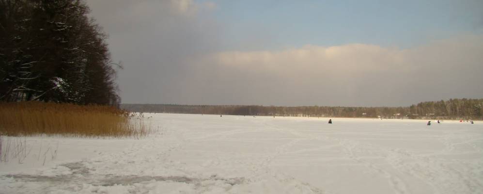 Фотография Дертницы