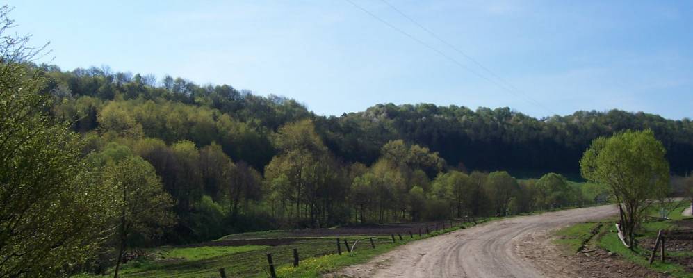 
            Фотография Борщовки Второй