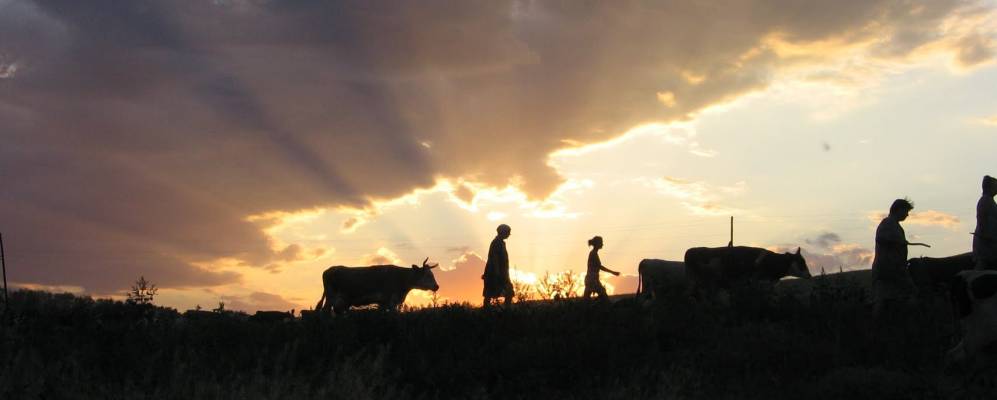 Фотография Верхней Добринки