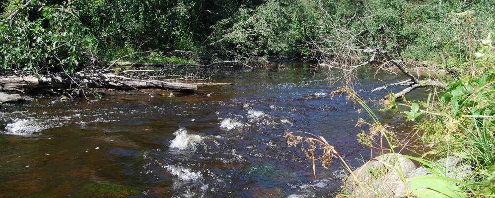 Фотография Зеленой