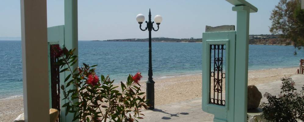 
            Фотография Дриоса