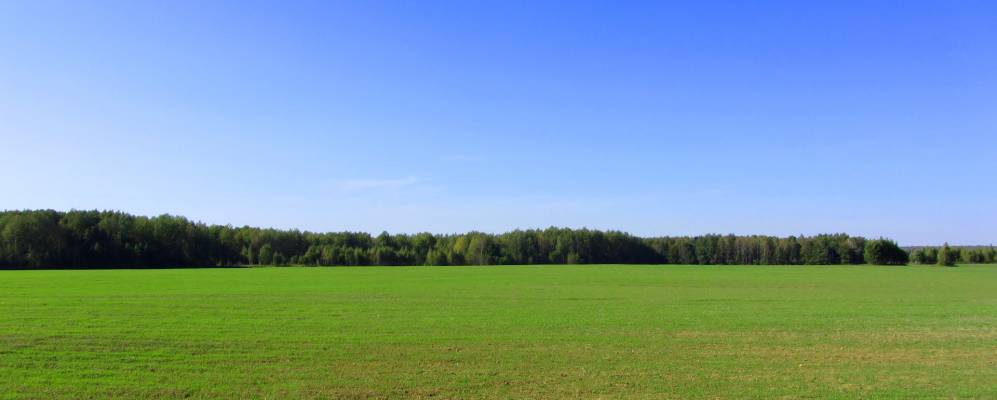 Фотография Пищалово