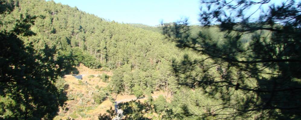 
            Фотография Пасуш-да-Серра