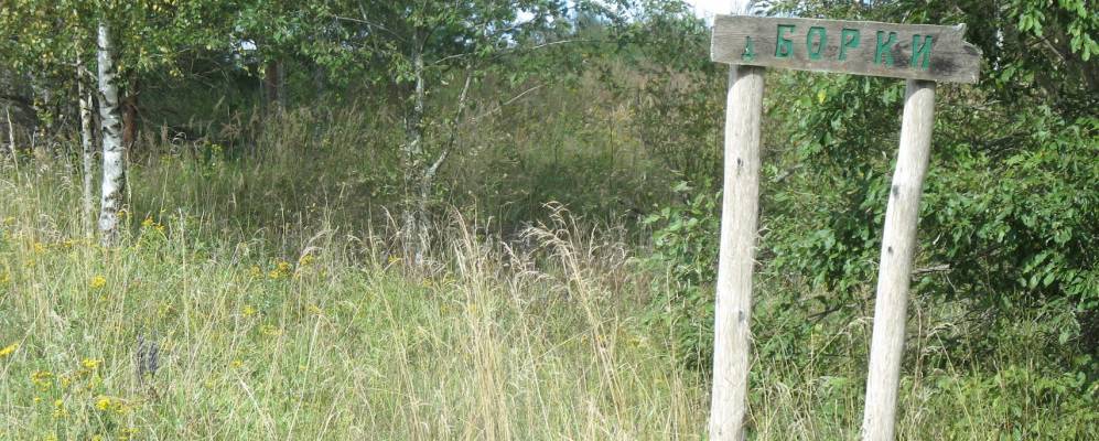 
            Фотография деревни Вишенки