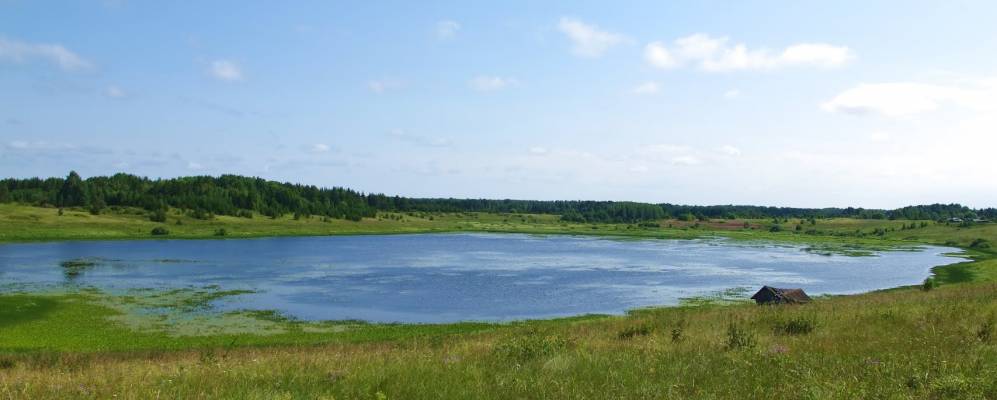 
            Фотография Тройничевской