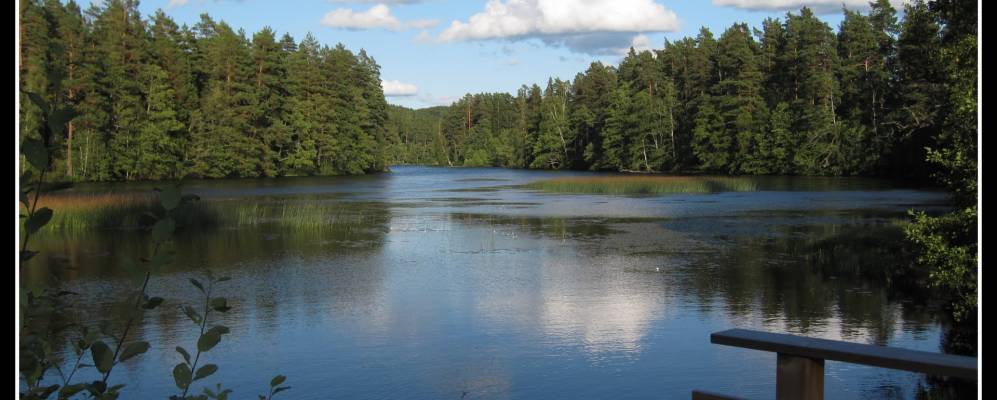 
            Фотография Лённеберги