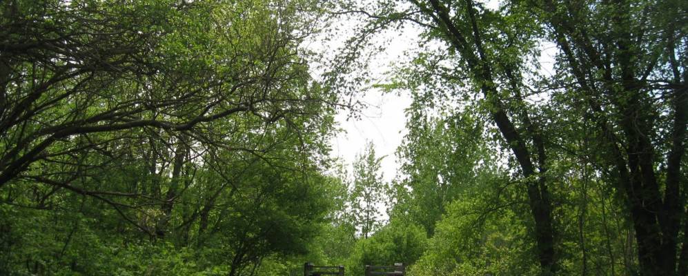 
            Фотография Ковингтона