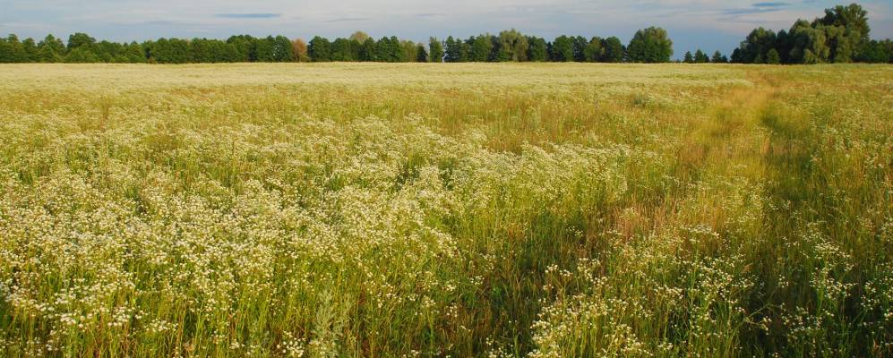 Фотография Ветровки