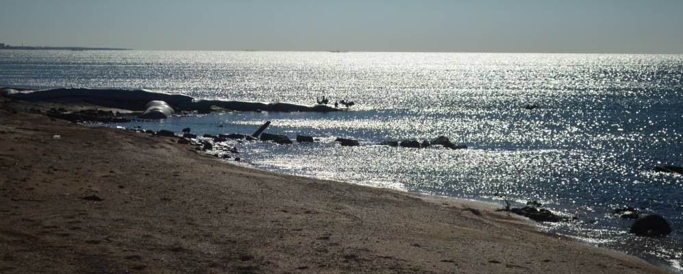  Фотография Должанской