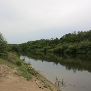 Большая Глушица