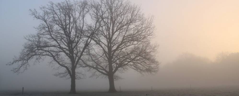 
            Фотография Серан-Фулетурта