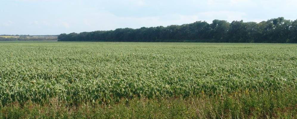 
            Фотография Заречного