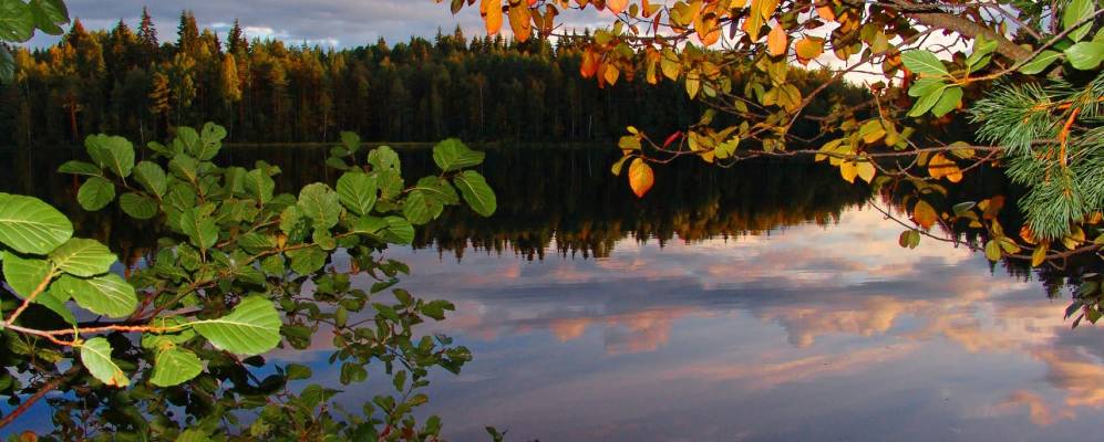 
            Фотография Укроево