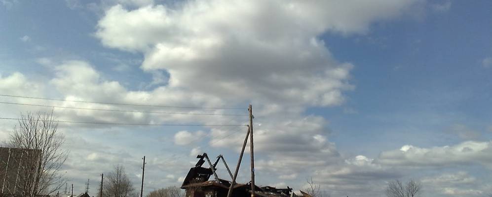 Фотография Косторяты