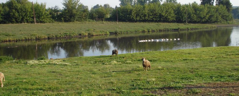 Фотография Рудки