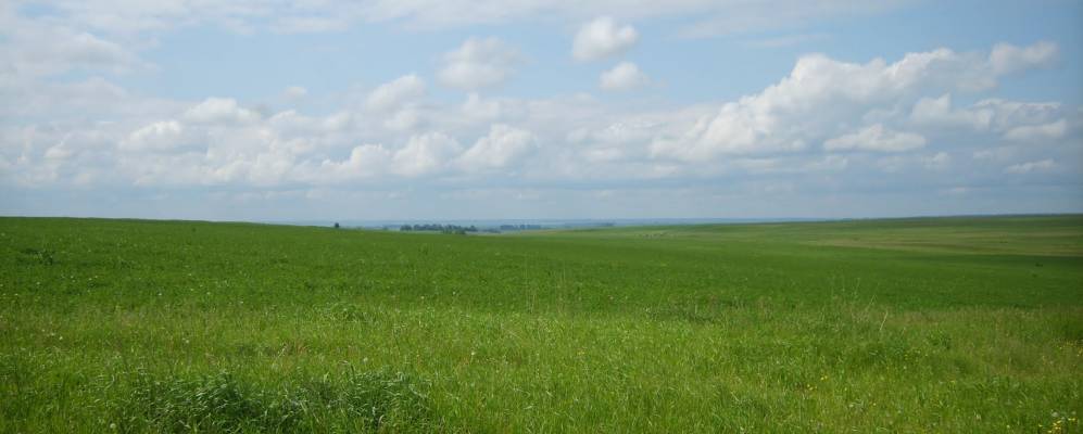 
            Фотография Новых Выслей