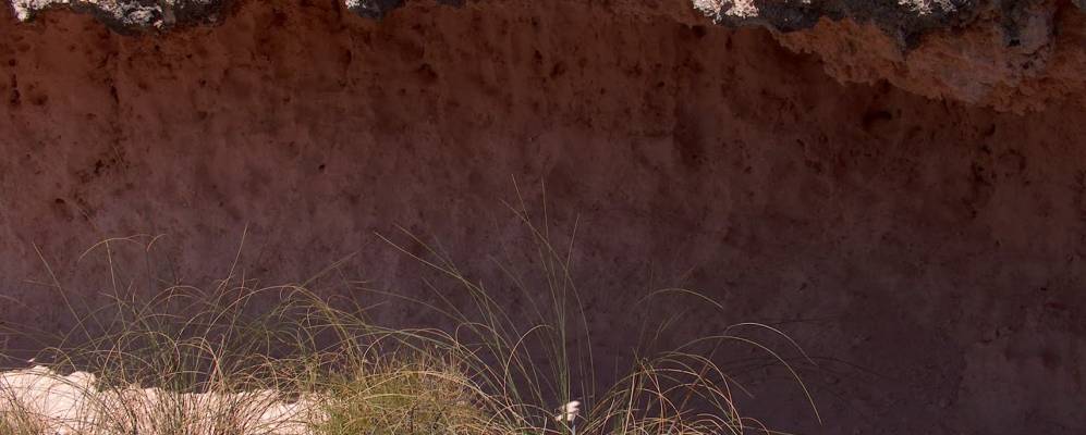 
            Фотография Викара