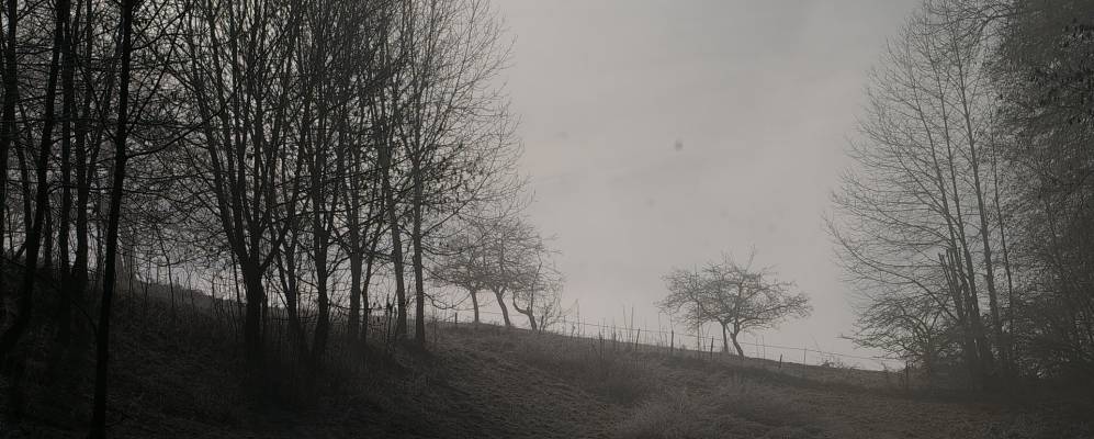 
            Фотография Турнона