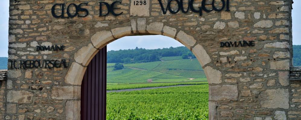 
            Фотография Шамболь-Мюзиньи