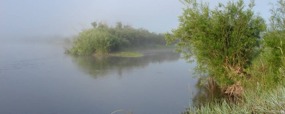 
            Фотография Улетки