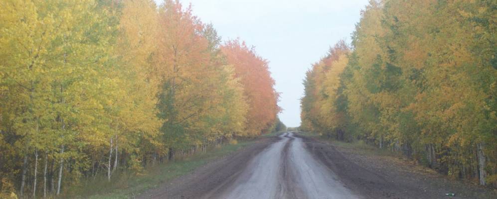 Фотография Власовы