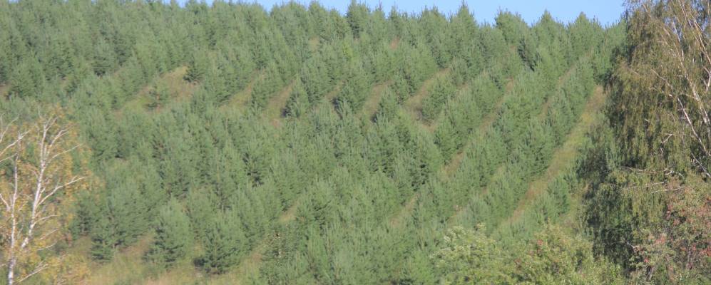 
            Фотография Карантрава