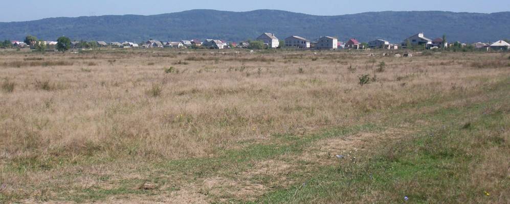 
            Фотография Малько